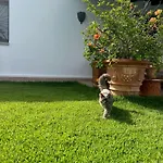Peditoltu Villa *