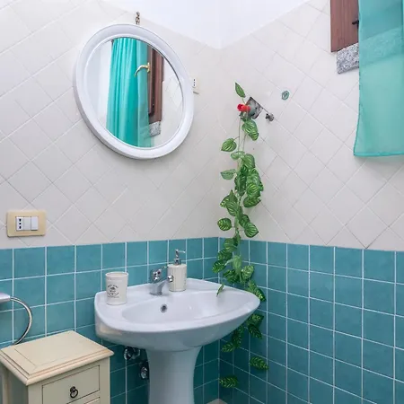 فيلة Peditoltu *