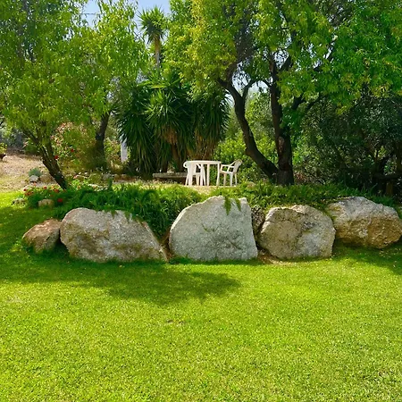 فيلة Peditoltu أولبيا