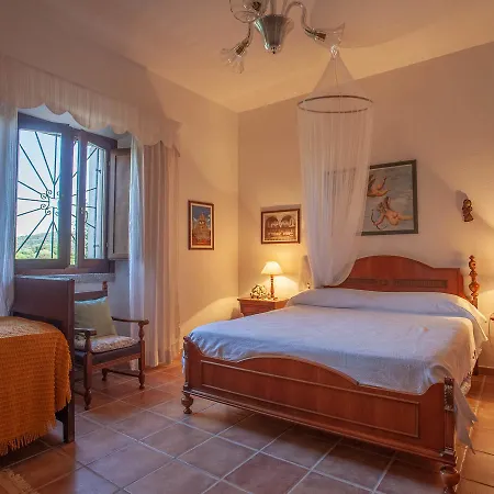 Peditoltu أولبيا