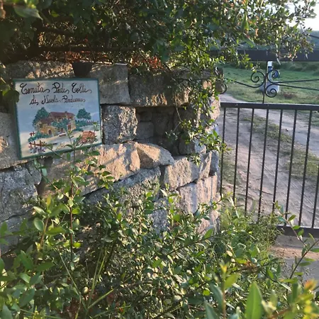 Peditoltu أولبيا