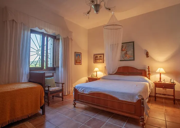 Peditoltu Όλμπια